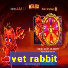 vet rabbit